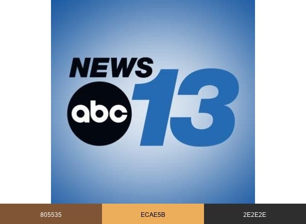 WLOS brand color palette