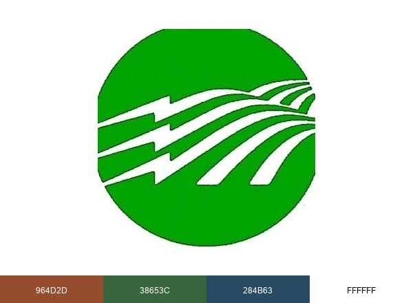 Washington-St. Tammany Electric Cooperative brand color palette