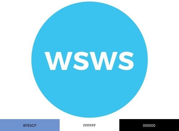 World Socialist Web Site brand color palette