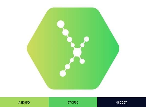 Xeno Network brand color palette
