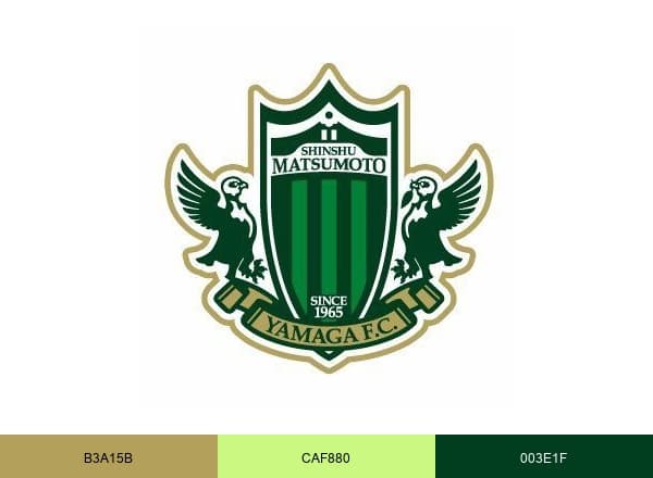 Yamaga FC brand color palette