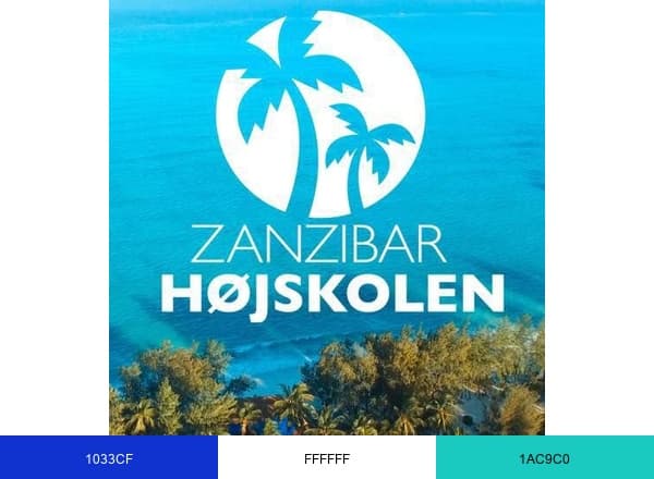 Zanzibar Højskolen brand color palette