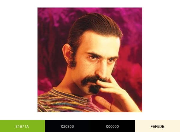 Frank Zappa brand color palette