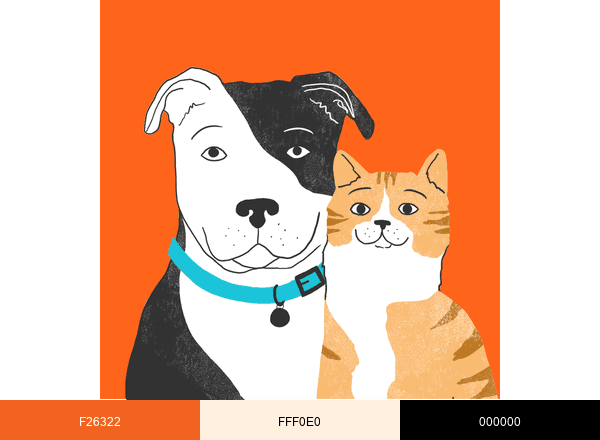 Zoetis Petcare brand color palette