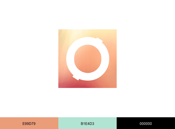 Zotezo.com brand color palette