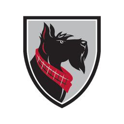 Carnegie Mellon University Tartans
