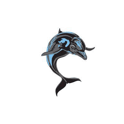 CSI Dolphins logo