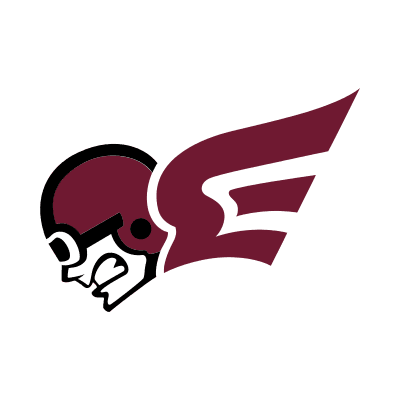 Erskine Flying Fleet color logo