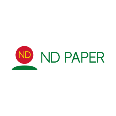 Nine Dragon Paper Holdings color logo