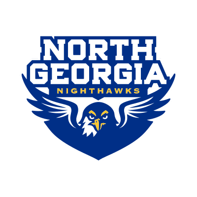 North Georgia Nighthawks color logo