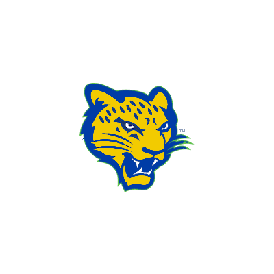 North Texas Trailblazers color logo