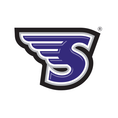 Stonehill Skyhawks logo