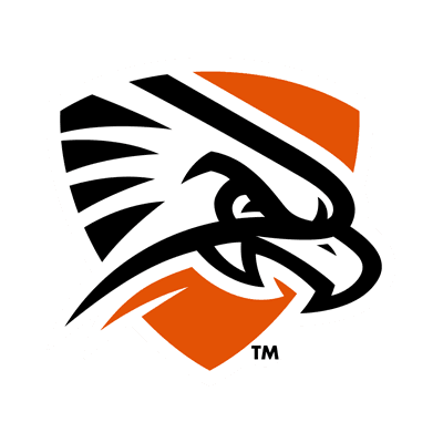 Texas–Permian Basin Falcons logo