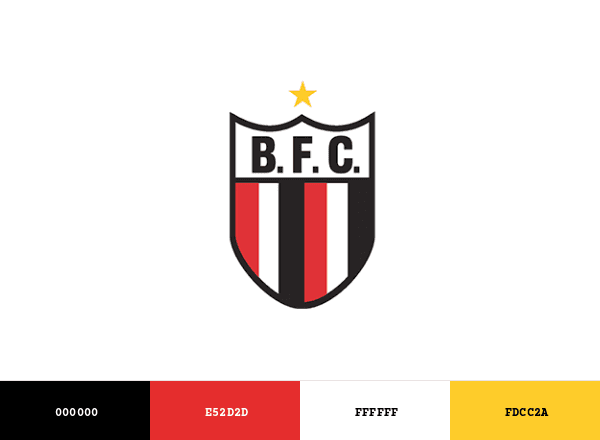 Botafogo-SP brand color palette