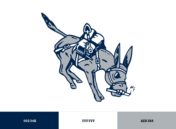 Colorado Mines Orediggers brand color palette