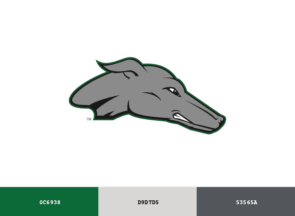 Eastern New Mexico Greyhounds brand color palette