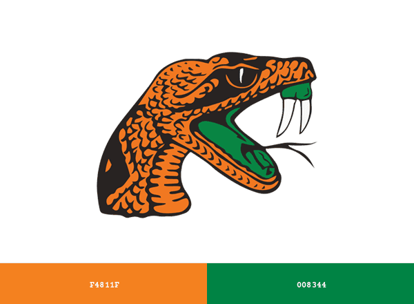 Florida A&M Rattlers and Lady Rattlers brand color palette
