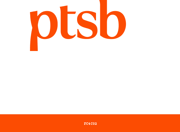 Permanent TSB brand color palette