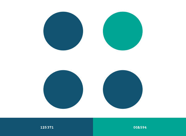 Profisee brand color palette