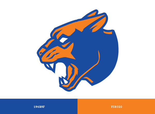 Purchase Panthers brand color palette