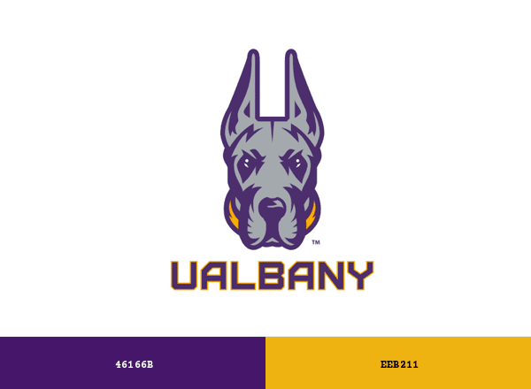 UAlbany Great Danes brand color palette