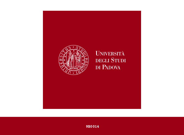 University of Padua brand color palette