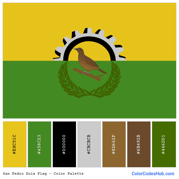 San Pedro Sula flag color palette