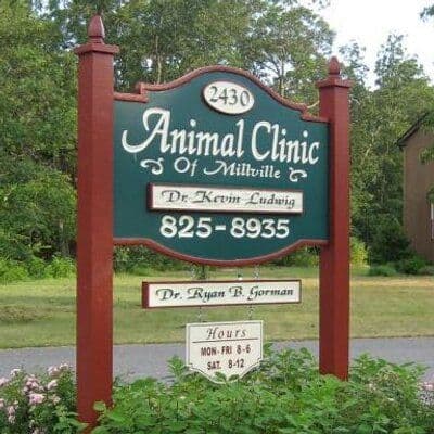 Animal Clinic of MLV color logo