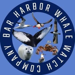 Bar Harbor Whale