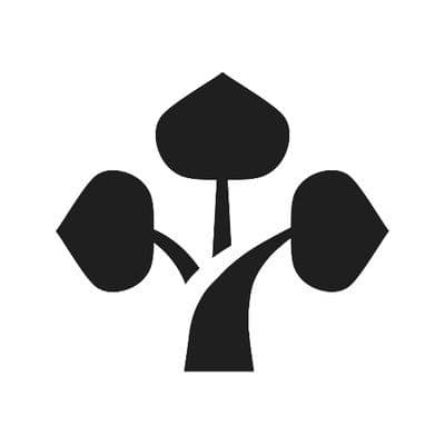 Bonsai Empire color logo