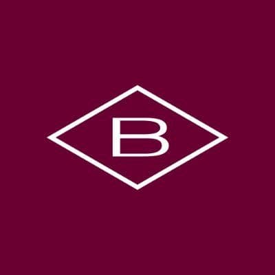 Borsheims color logo