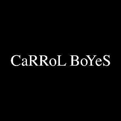 Carrol Boyes Functional Art color logo