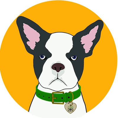 CBD DOG HEALTH color logo