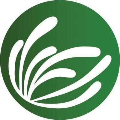 Climate Strategies color logo