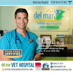 Del Mar Vet Hospital