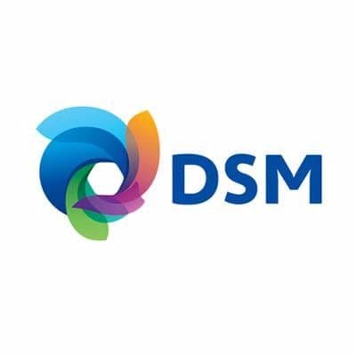DSM color logo