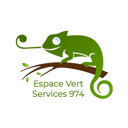 Espace Vert Services 974 color logo