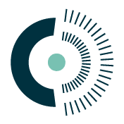 Centre for Digital Public Services color logo