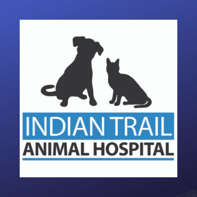ITAHvet color logo