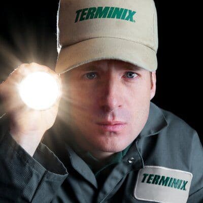 Terminix of NC color logo