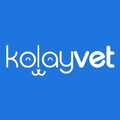 Kolayvet color logo