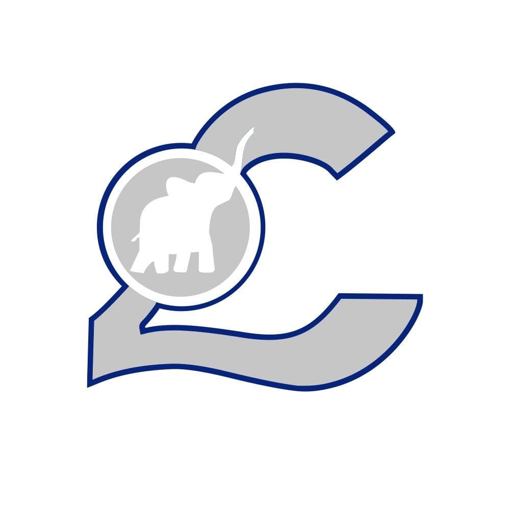 LarssonBuss color logo