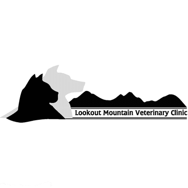 Lookout Mtn Vet color logo