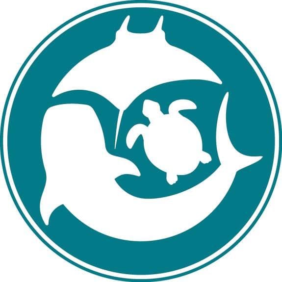 Marine Megafauna Foundation color logo