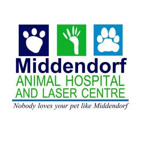 Middendorf Animal Hospital & Laser Centre color logo