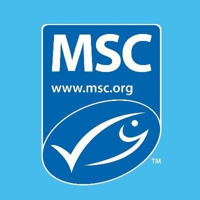 MSC Blue Fish US & Canada ๐บ๐ธ ๐จ๐ฆ color logo