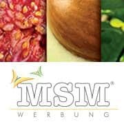 MSM color logo