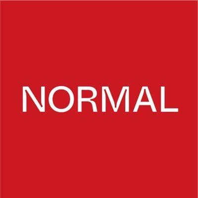 Normal Computing color logo