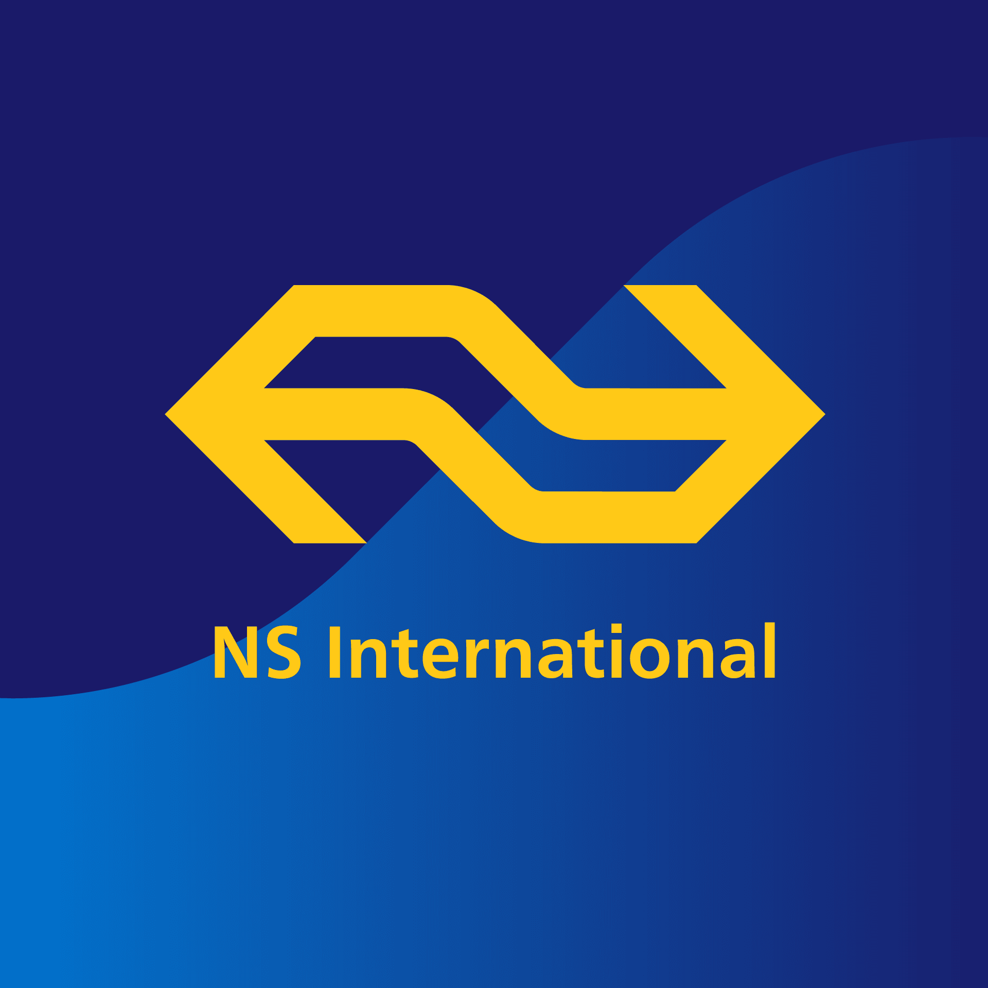 NS International color logo