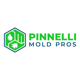 Pinnelli Mold Pros LLC